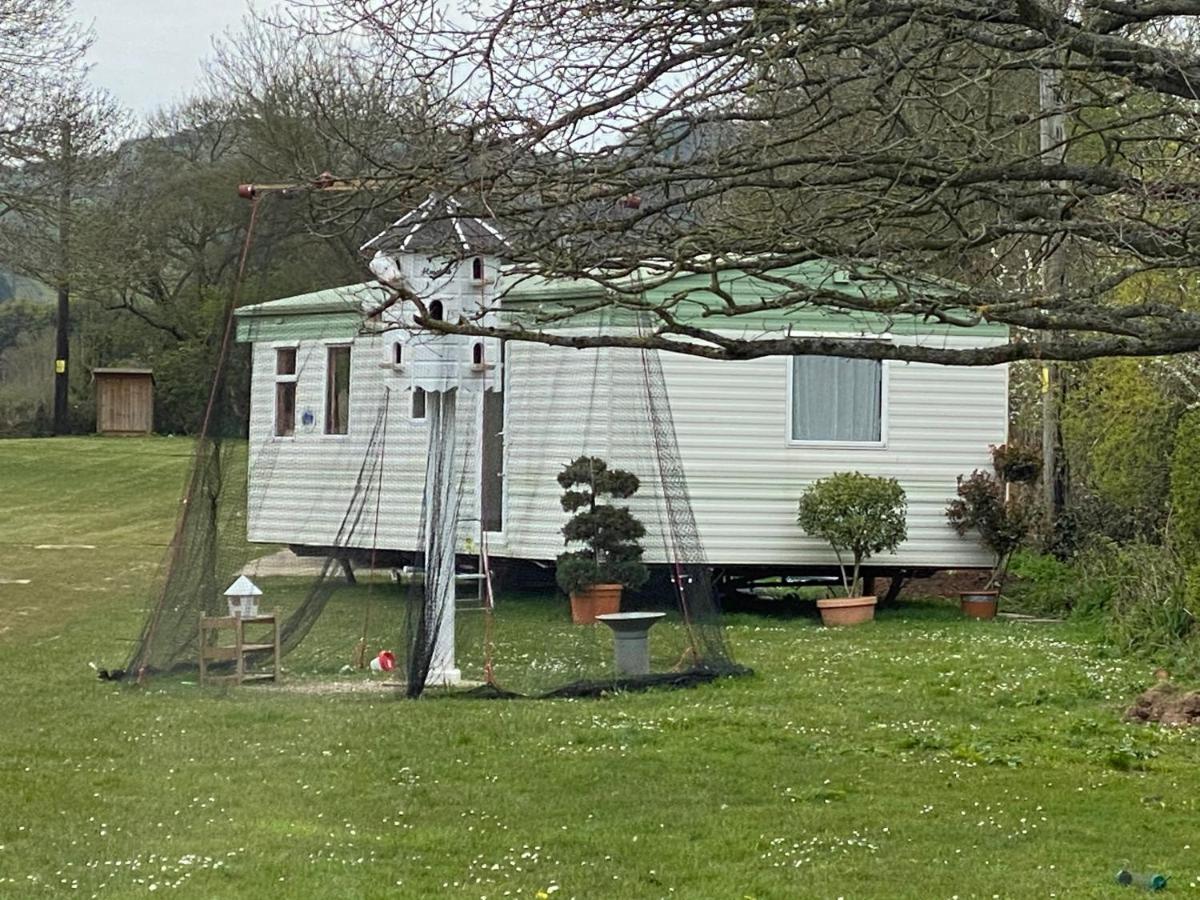The Nest - Family Friendly Caravan Nr Glastonbury & Street Somerton  Exterior foto